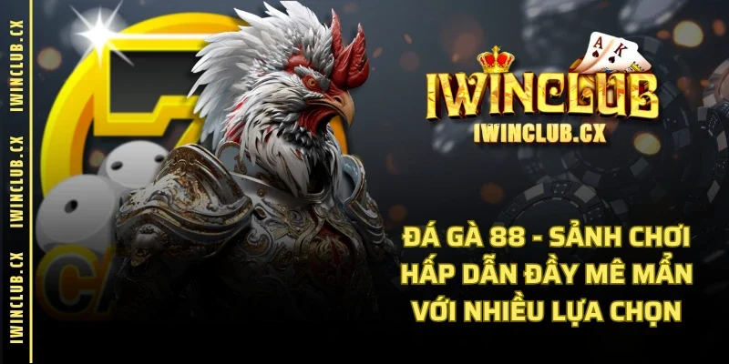 Đá Gà 88 - Sảnh Chơi Hấp Dẫn Đầy Mê Mẩn Với Nhiều Lựa Chọn