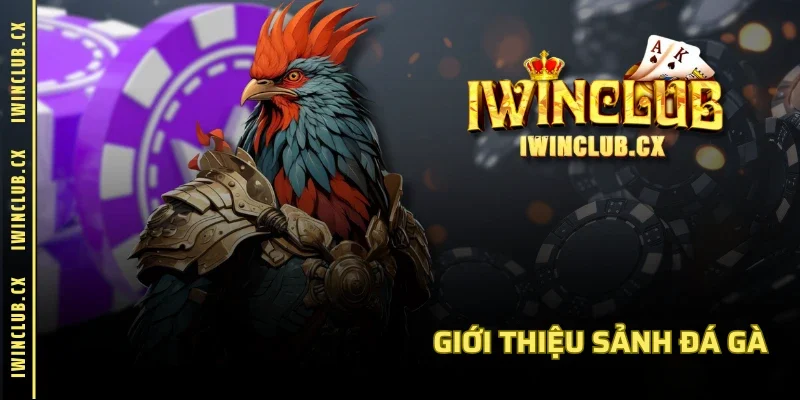 Giới thiệu sảnh Đá Gà