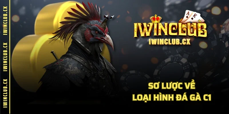 Sơ lược về loại hình đá gà C1